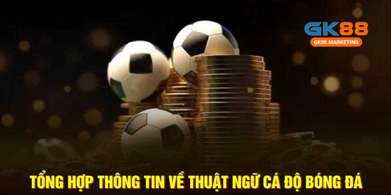 Hiểu rõ thuật ngữ cá độ